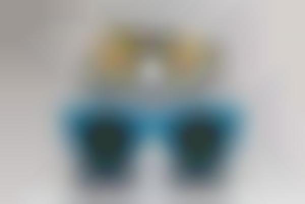 Retro Reversible Sunglasses