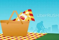Spontaneous Picnic Services Image 2