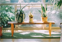 Colorfully Clasping Table Legs Image 7