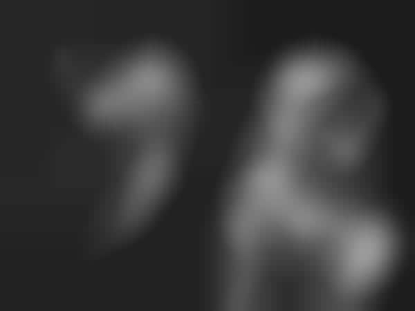 Raw Image-Layered Photography
