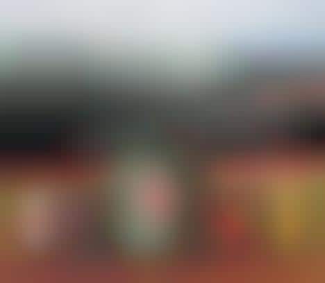 Baseball Stadium Paint Collections