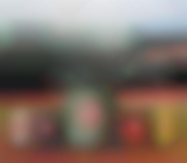 Baseball Stadium Paint Collections