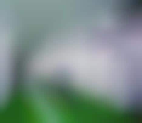 Bathroom Traffic Lights