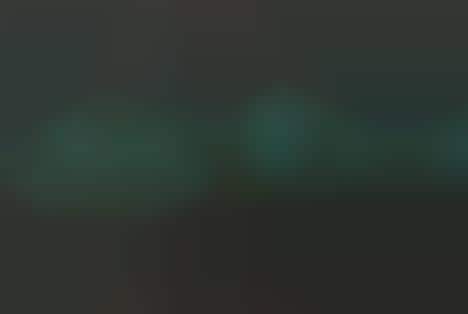 Camouflaged Extension Cords