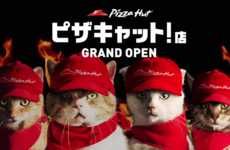 Cat-Operated Pizza Shops