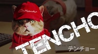 Cat-Operated Pizza Shops Image 2