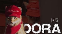 Cat-Operated Pizza Shops Image 4