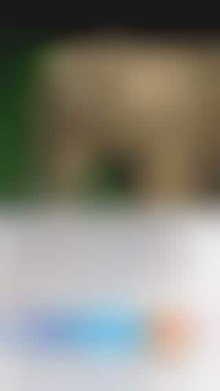 Animal News Apps