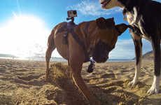 Canine Camera Mounts