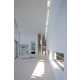 Boundless Ivory Homes Image 6