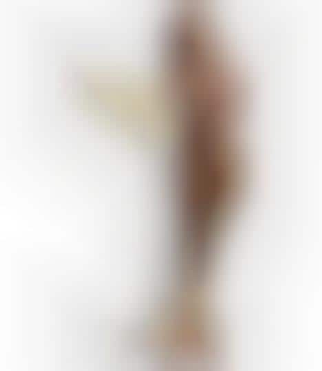 Supermodel Shaped Glassware