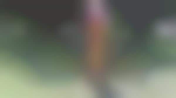 Icy Clown Videos