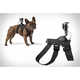 Canine Camera Harnesses Image 5