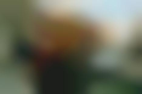 Honest Youthful Photography