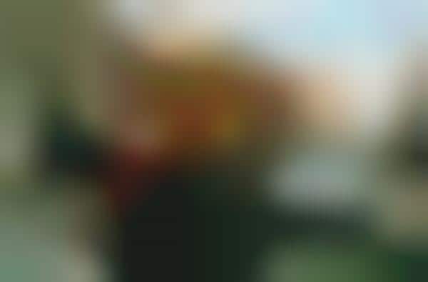 Honest Youthful Photography