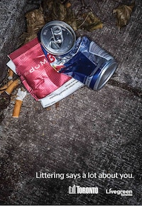 Sassy Anti-Littering Campaigns Image 2