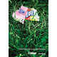 Sassy Anti-Littering Campaigns Image 3