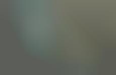 Versatile Compact Sensors