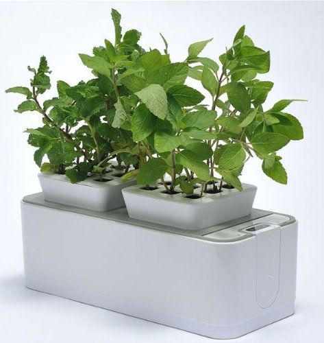 Self-Watering Indoor Gardens