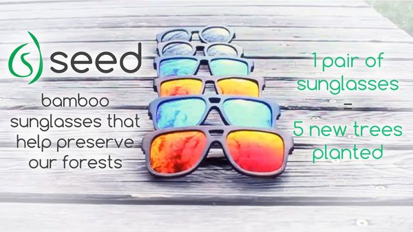 24 Eco-Friendly Sunglasses