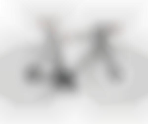 Lightweight Designer Bikes