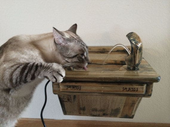 Feline Drinking Fountains