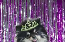 Canine Beauty Pageants
