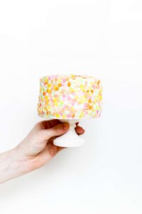 DIY Edible Confetti Image 4
