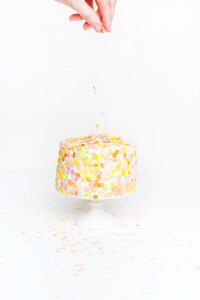 DIY Edible Confetti Image 6