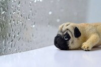 Canine Felt Figurines Image 5