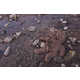 Hazardous Child Labor Photos Image 5
