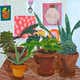 Domestic Oil Paintings Image 2