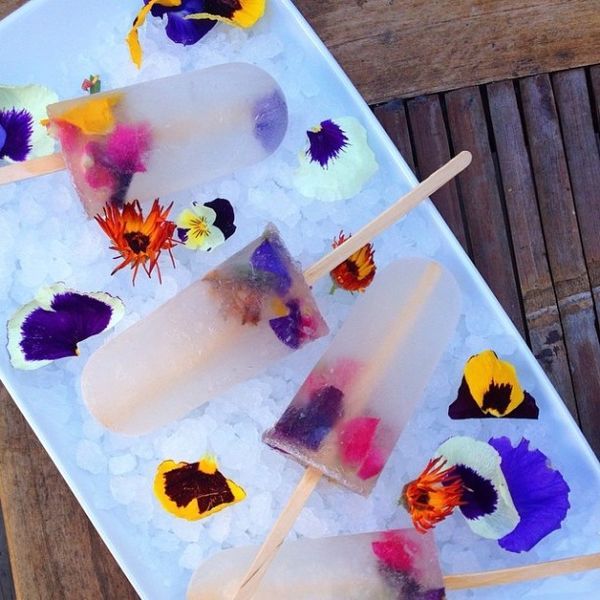 34 Refreshing Popsicle Recipes