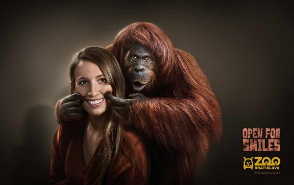 Photobombing Animals Ads