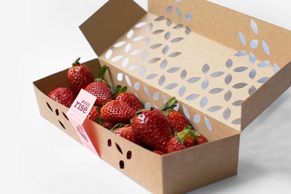 Elegant Berry Boxes