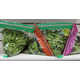 Tetrahedral Vegetable Packaging Image 2