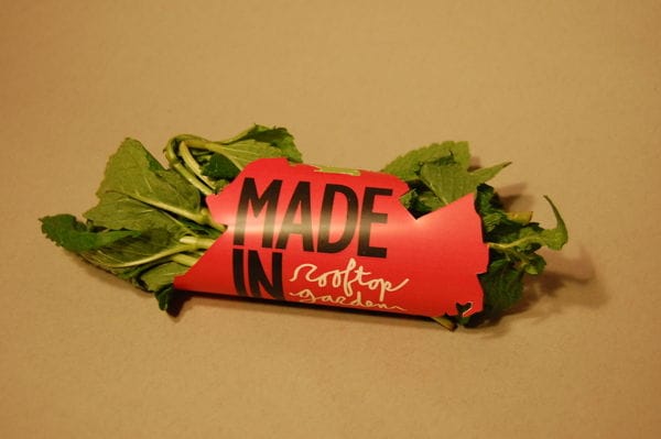 16 Fruit and Vegetable Packaging Ideas
