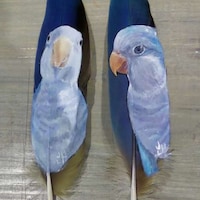 Meta Feather Paintings Image 2