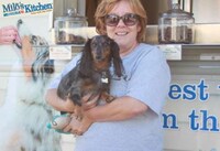 Dog Food Trucks Image 3