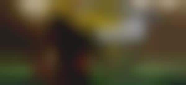 Fantasy Football Contests