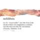 Untranslatable Word Gifs Image 4