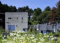 Contemplative Library Homes Image 2