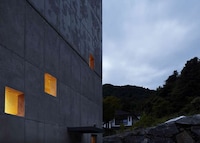 Contemplative Library Homes Image 5