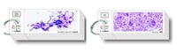 Junior Biologist Toys Image 6