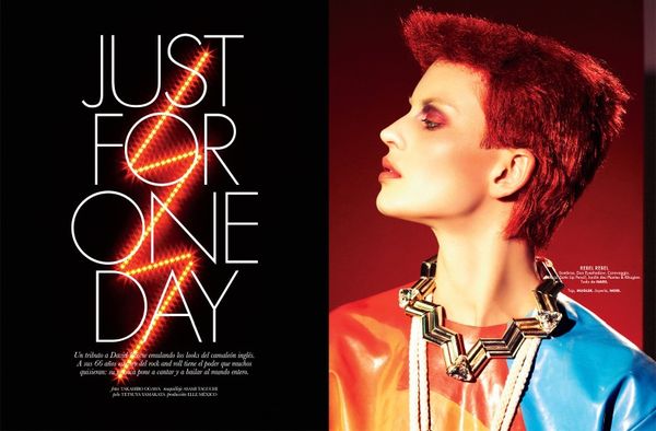 20 David Bowie Fashion Examples