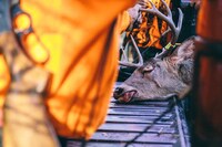 Hunting Culture Photography Image 4