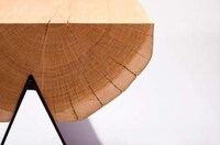 Pierced Tree Trunk Furnishings Image 3