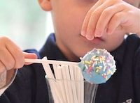 Cake Pop Molds Image 3