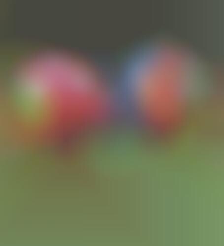 Multicolored Inflatable Balls