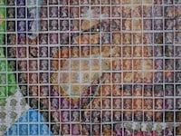 Postage Pop Art (UPDATE) Image 8